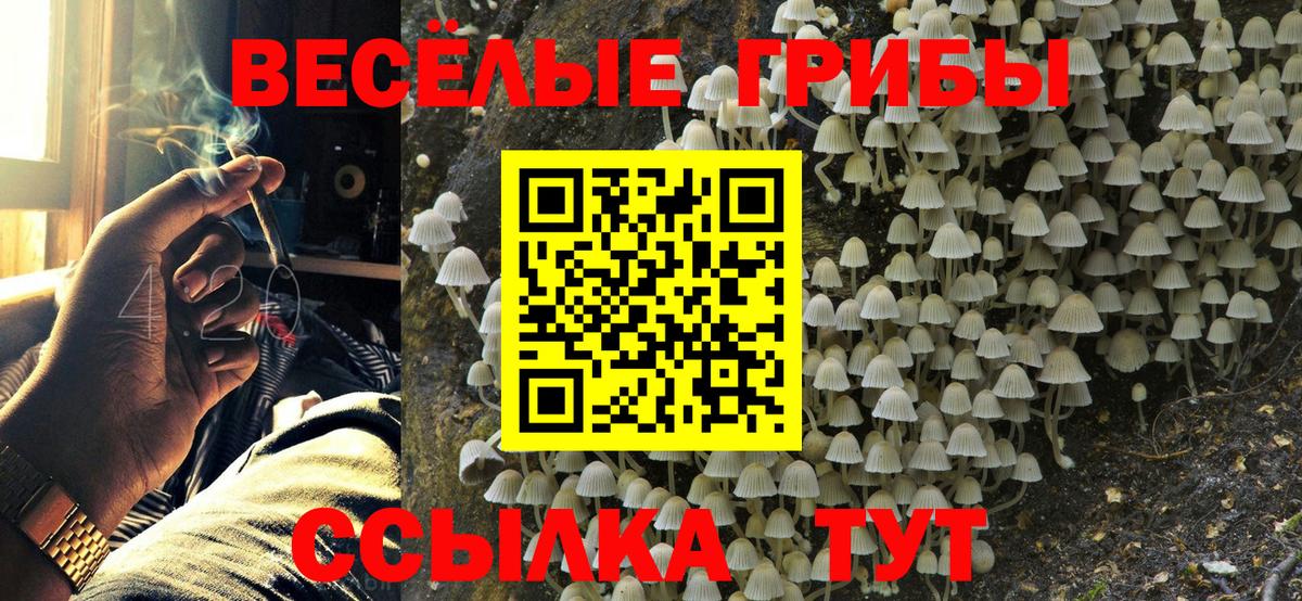 Галлюциногенные грибы Cubensis  цена   Галлюциногенные грибы мухоморы  Бугуруслан  Вход с VPN 